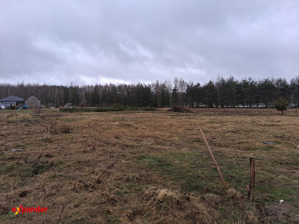 Działka 2,45 ha z mediami i warunkami zabudowy - polecam! Budy Głogowskie  2 450m2 Foto 1