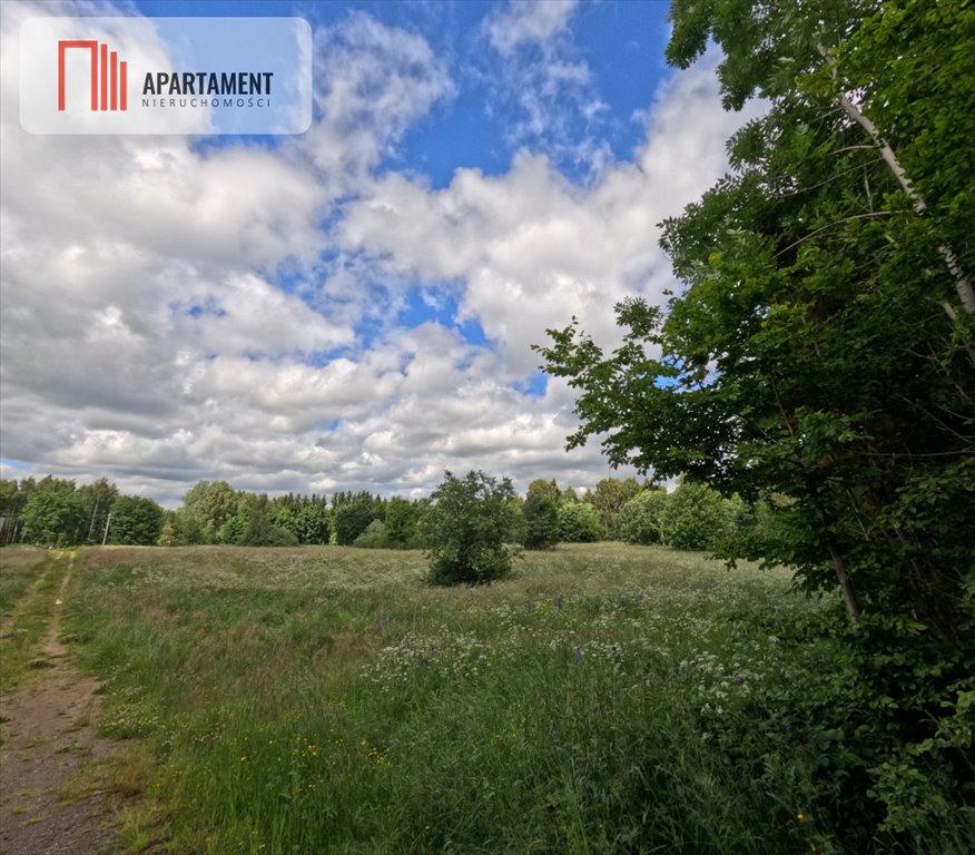 Urokliwe działki nad jeziorem i lasem, cisza i spokój. Kuszewo  3 000m2 Foto 1