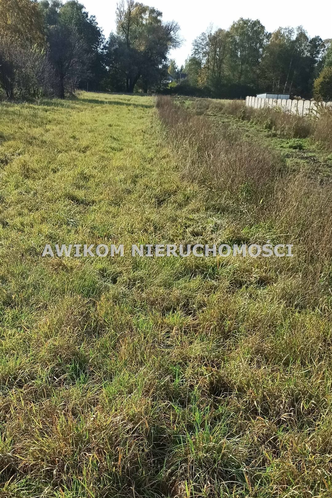 Zapraszam do zakupu działki 1135 m² w Budach Grzybek Jaktorów, Budy-Grzybek  1 135m2 Foto 1
