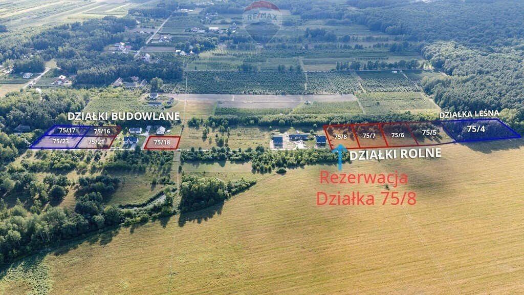 Działka rolna na sprzedaż Kocerany, Akacjowa  3 025m2 Foto 3