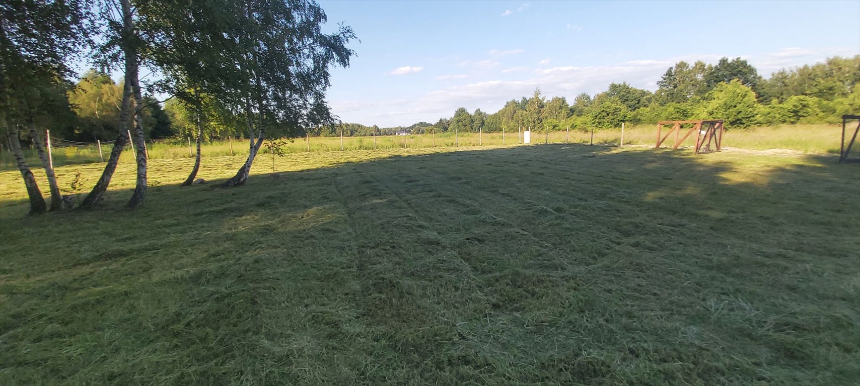 Działka budowlana na sprzedaż Radonie  3 000m2 Foto 3