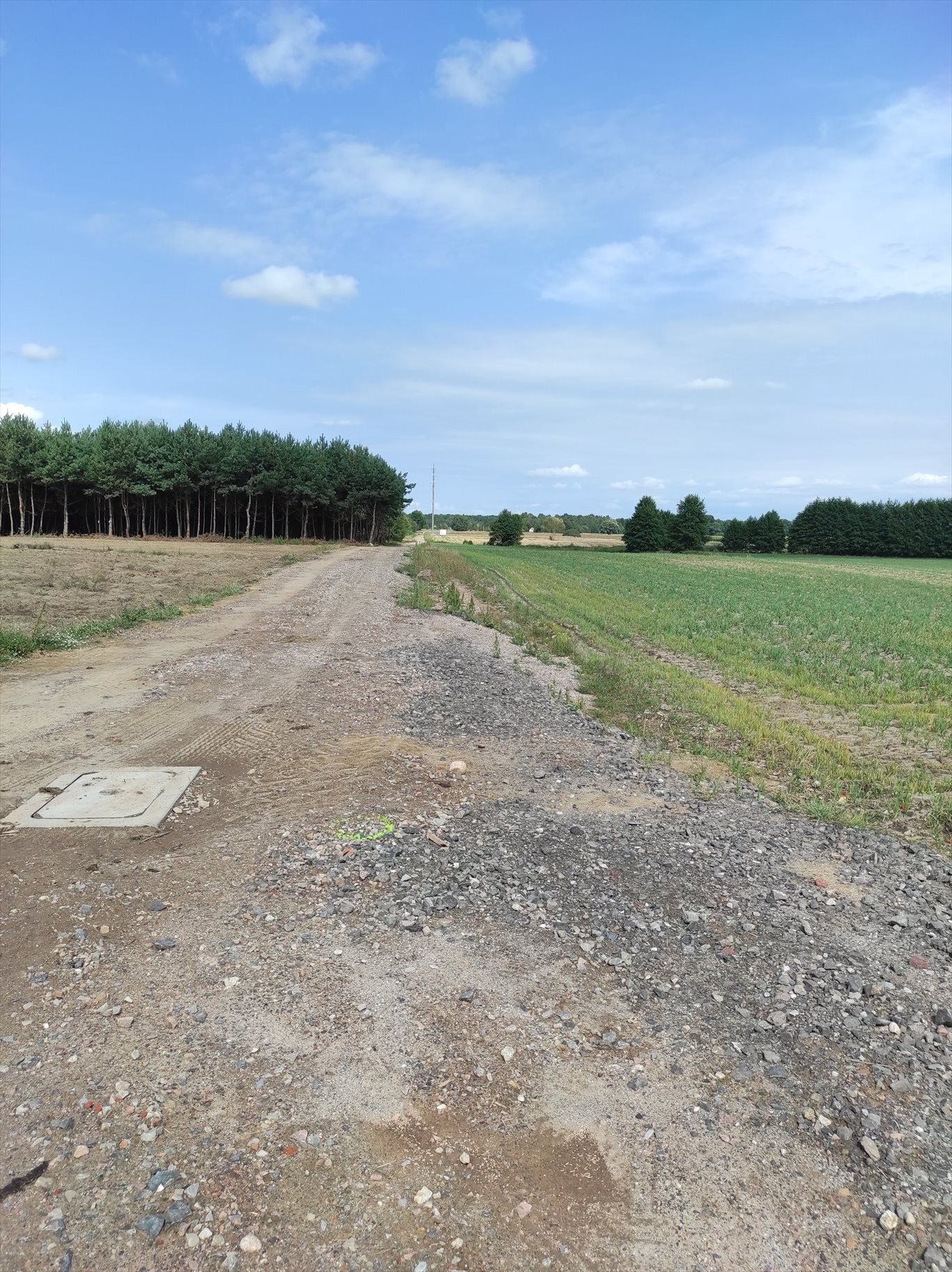 Działka rekreacyjna na sprzedaż Gębarzów gm. Skaryszew, 99  2 000m2 Foto 5