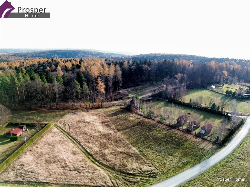 Działka budowlana na sprzedaż Mogielnica  3 522m2 Foto 3