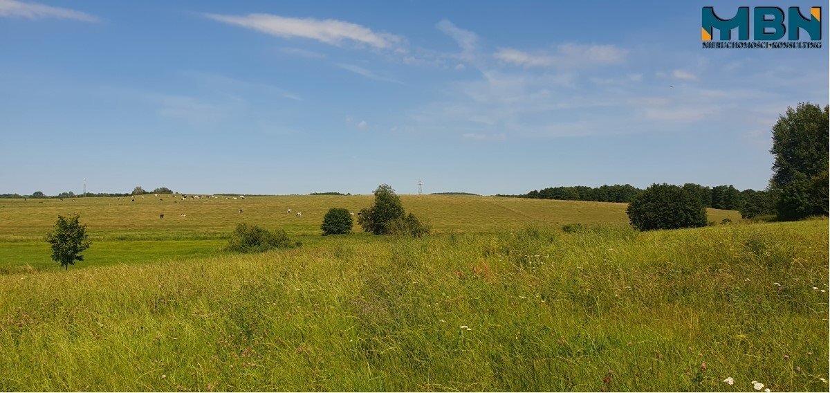 Działka rolna na sprzedaż Stręgielek, Stręgielek  3 035m2 Foto 5