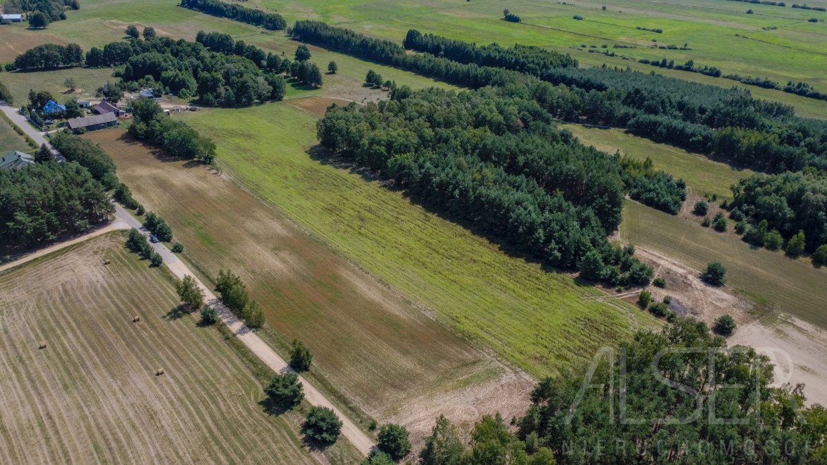 Działka budowlana na sprzedaż Marianowo  29 831m2 Foto 2