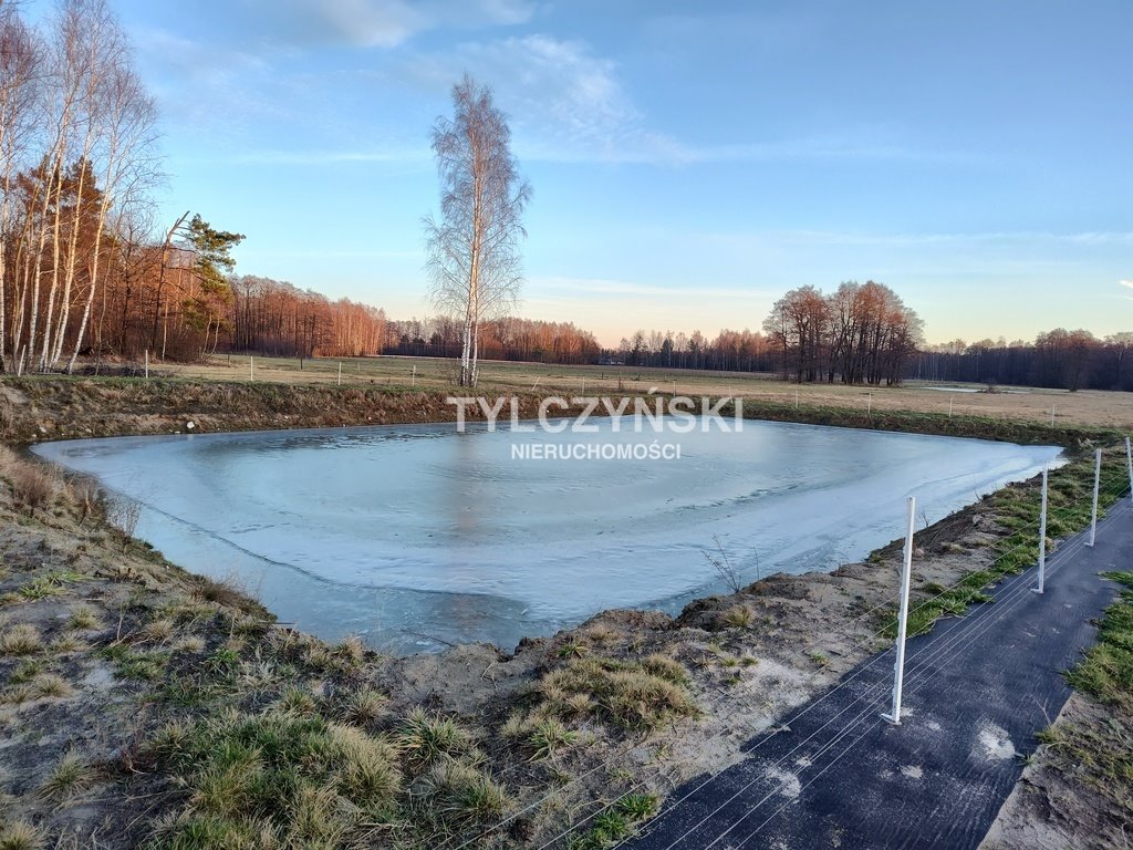 Działka rolna na sprzedaż Kaleń  40 000m2 Foto 11