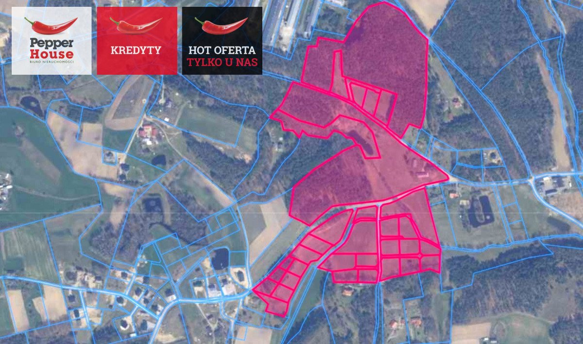 Sprzedam unikalną działkę na Kaszubach z domem i potencjałem Rąb, Trzy Rzeki, Górna  165 000m2 Foto 1
