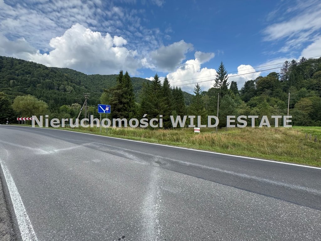 Działka budowlana na sprzedaż Dołżyca  5 172m2 Foto 1