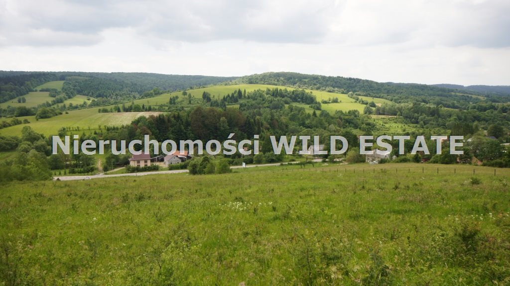 Działka 1,75 ha z widokiem - media do własnej aranżacji Ustrzyki dolne, Jureczkowa  17 555m2 Foto 1
