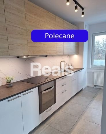Zdjęcie 5