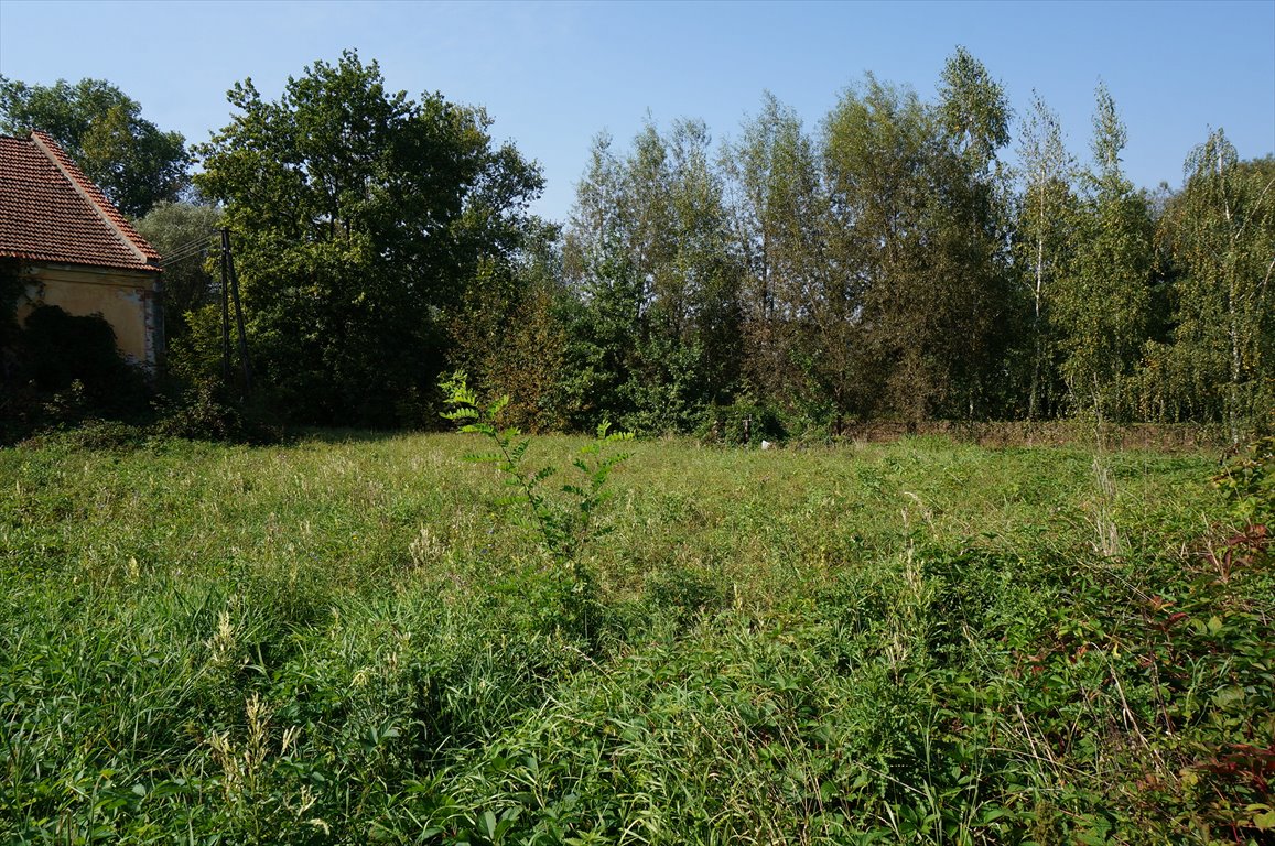 Działka budowlana na sprzedaż Rzeszów, Budziwój  2 900m2 Foto 7