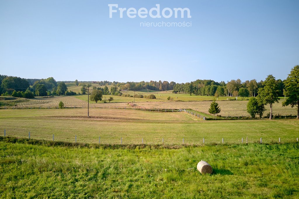 Działka budowlana na sprzedaż Lipowo  38 700m2 Foto 12