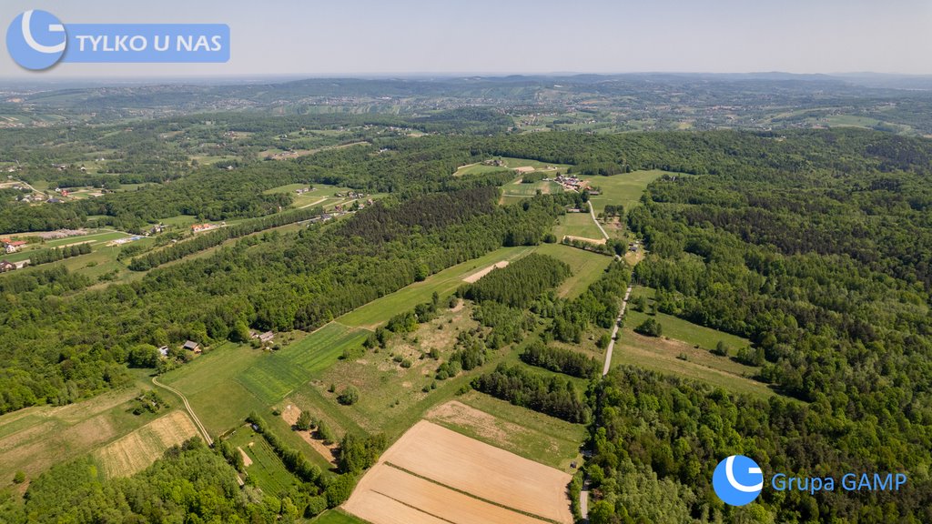 Działka budowlana na sprzedaż Lipnica Dolna  10 488m2 Foto 1