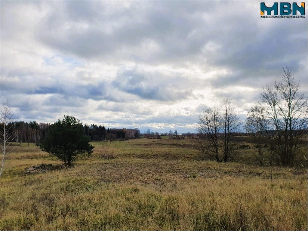 Działka rolna na sprzedaż Tuchlin, Tuchlin  65 579m2 Foto 16