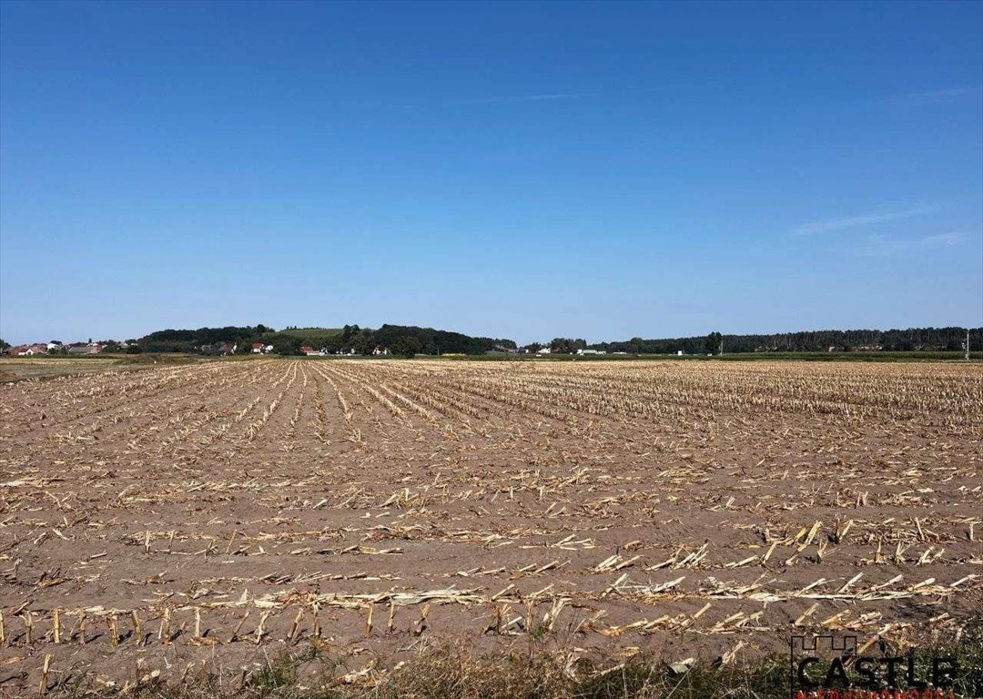 Działka budowlana na sprzedaż Gostyń  56 000m2 Foto 14