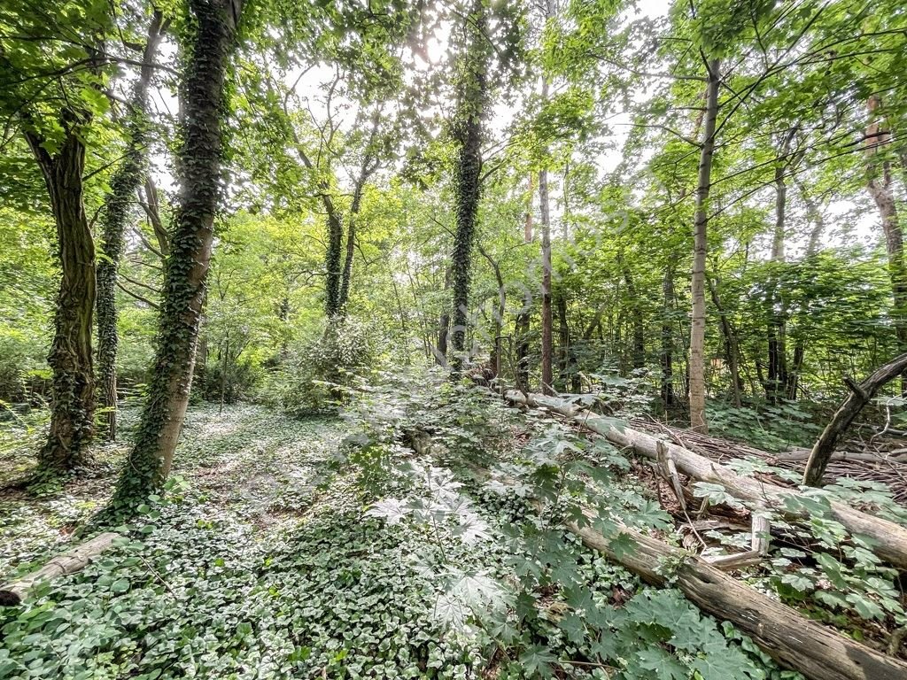 Działka budowlana 2775 m² w Milanówku – idealna pod dom lub inwestycję Milanówek  2 775m2 Foto 1