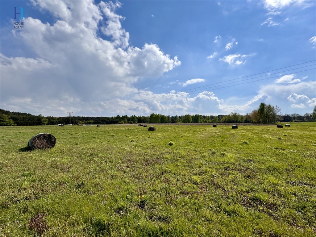 Działka budowlana na sprzedaż Stary Adamów, Działkowa  951m2 Foto 4