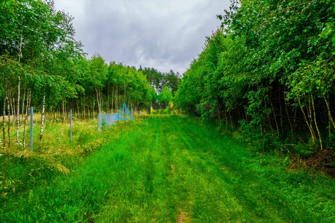 Działka rolna na sprzedaż Stary Barkoczyn  3 013m2 Foto 9