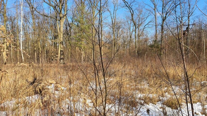 Działka 3000 m² z możliwością podziału i pełnym uzbrojeniem Baniocha, Baniocha  3 000m2 Foto 1