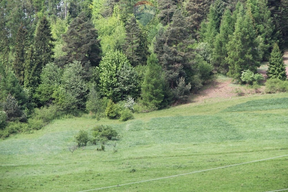 Działka leśna na sprzedaż Krośnica  8 049m2 Foto 2