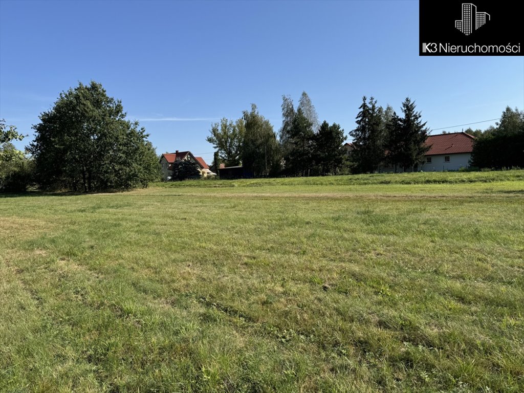 Działka budowlana na sprzedaż Wielgolas Brzeziński, Piastowska  1 300m2 Foto 3