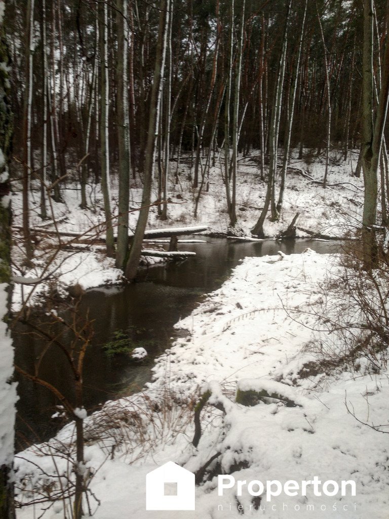 Działka rekreacyjna na sprzedaż Cieśle  3 000m2 Foto 3