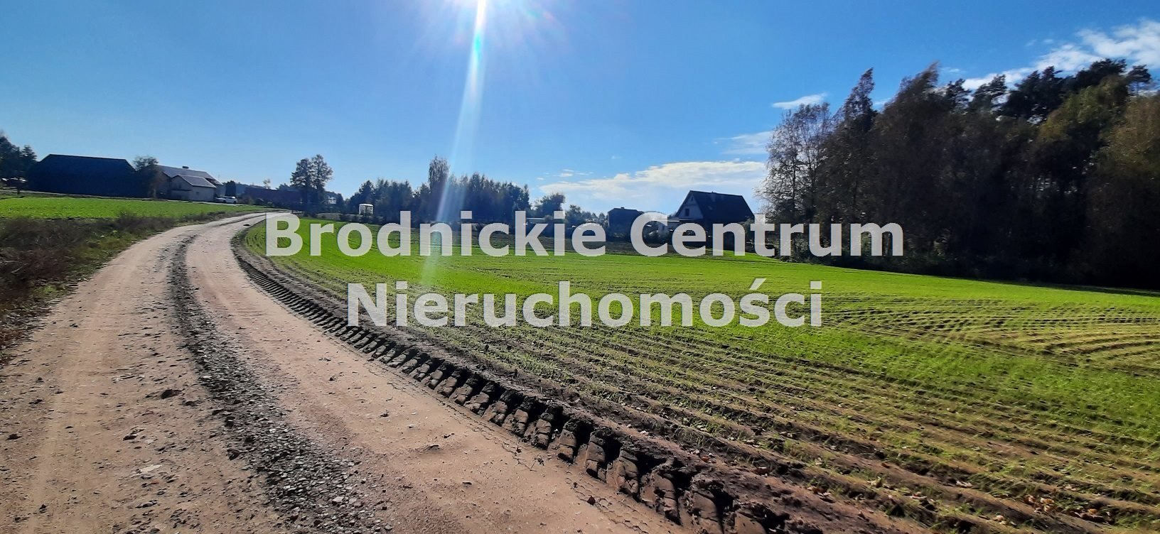 Zdjęcie 4
