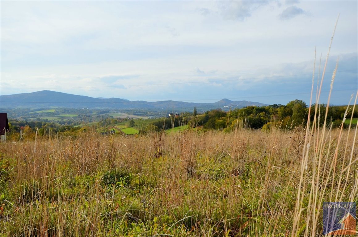 Działka budowlana na sprzedaż Kostrza  5 900m2 Foto 13