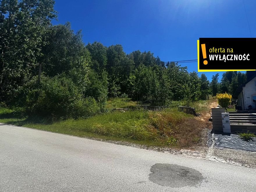 Działka leśna 5810 m² - Bolmin - dostęp asfaltowy Bolmin  5 810m2 Foto 1