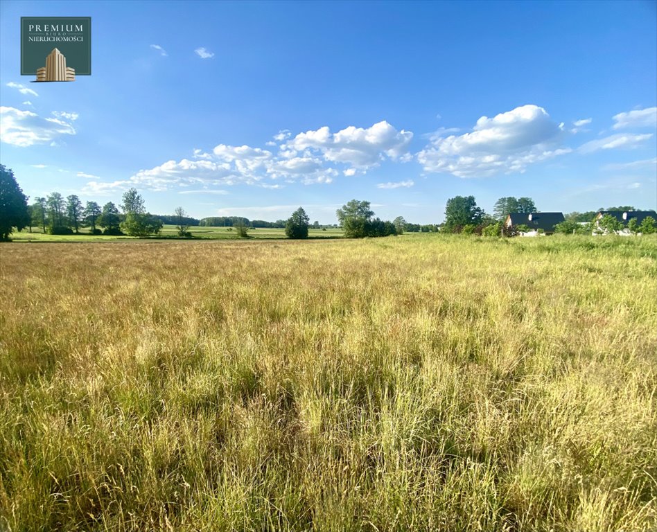 Działka budowlana na sprzedaż Krypno Kościelne  1 590m2 Foto 9