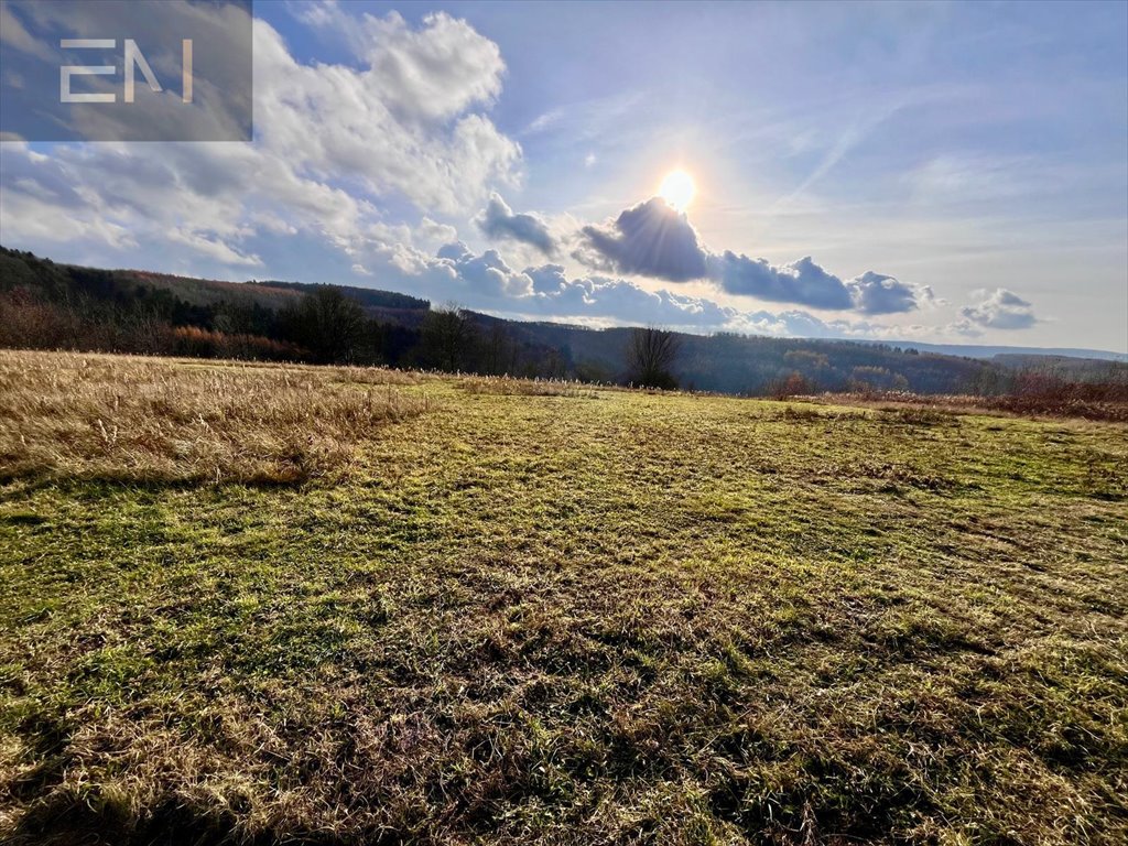 Działka budowlana na sprzedaż Żarnowa  5 000m2 Foto 1