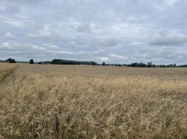 Działka rolna na sprzedaż Pobłocie  1 807m2 Foto 1