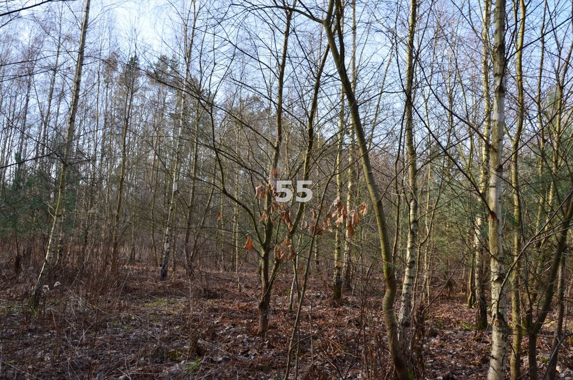 Działka budowlana na sprzedaż Tkaczewska Góra  1 650m2 Foto 1