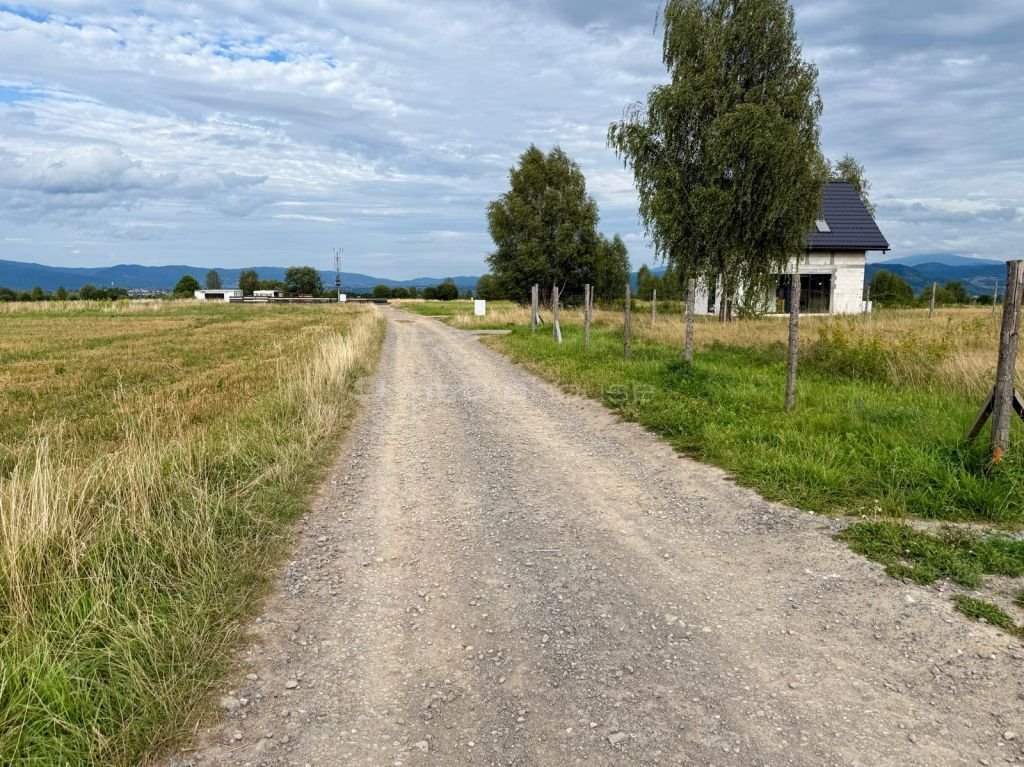 Zdjęcie 7