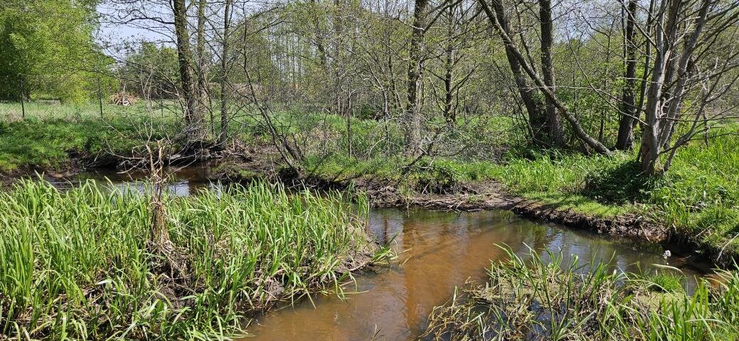 Działka rekreacyjna na sprzedaż Wydmusy  1 661m2 Foto 7