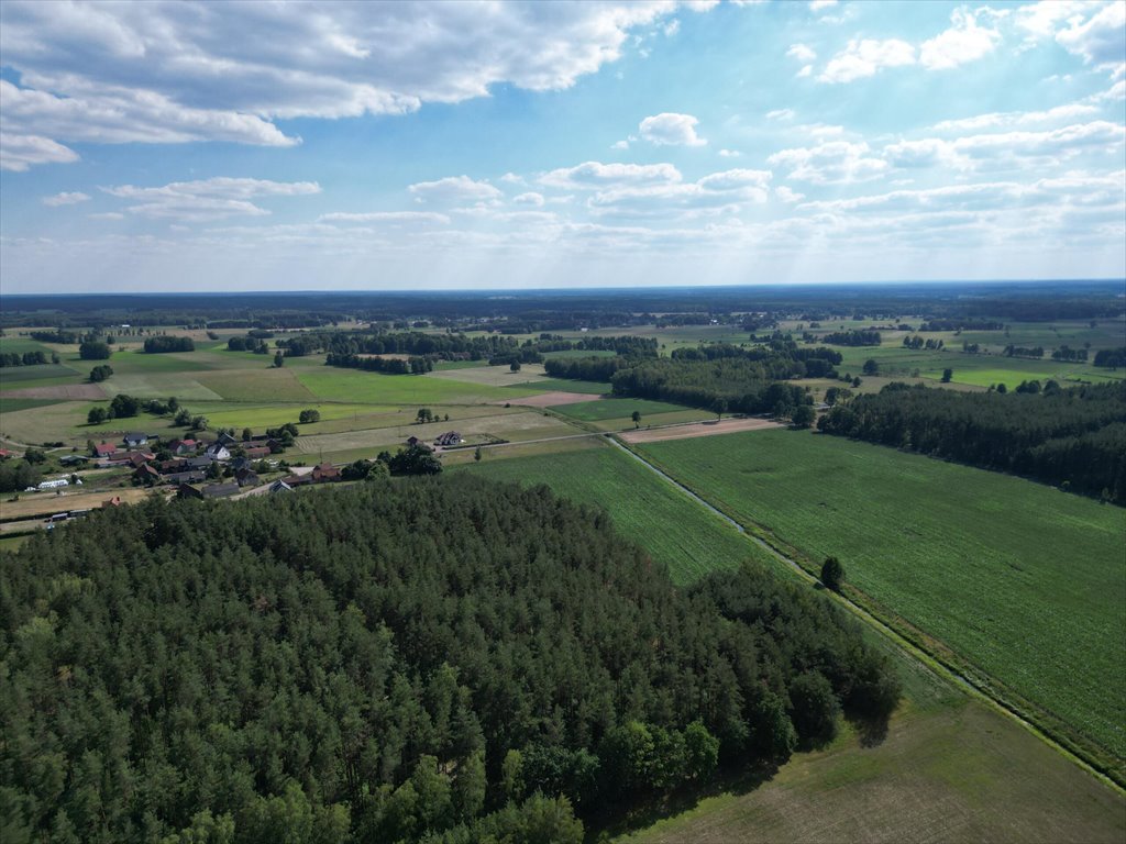 Działka budowlana na sprzedaż Jerominy  3 705m2 Foto 6