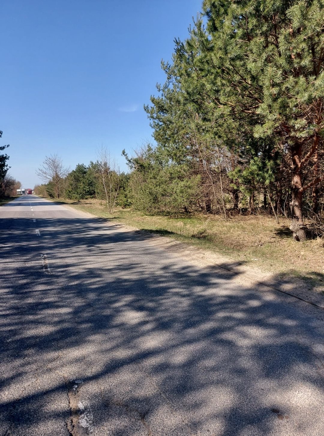 Działka rolna 4895 m² w Kotorydzie, blisko S7 Kotorydz  4 895m2 Foto 1