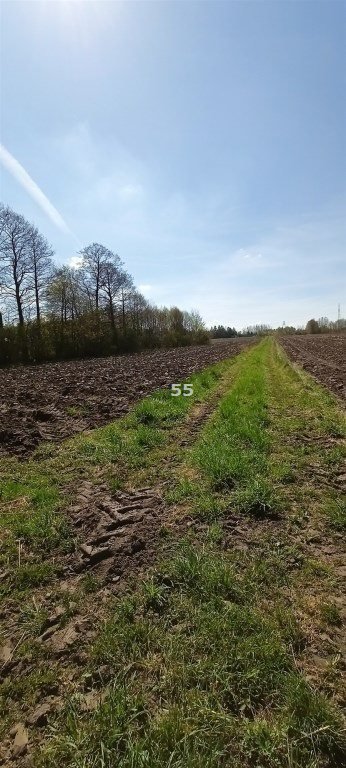 Działka inna na sprzedaż Aleksandrów Łódzki, okol. ul. Brużyczka  1 903m2 Foto 2