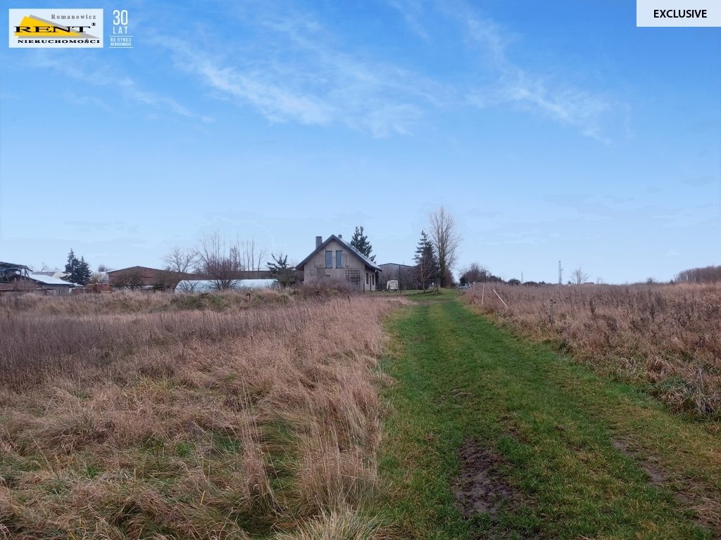 Zapraszam do zakupu działki 4000 m² z mediami w Wąwelnicy Wąwelnica  4 000m2 Foto 1