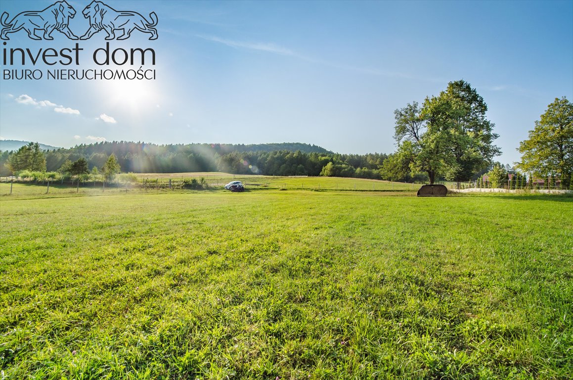 Działka budowlana na sprzedaż Florynka  1 244m2 Foto 7