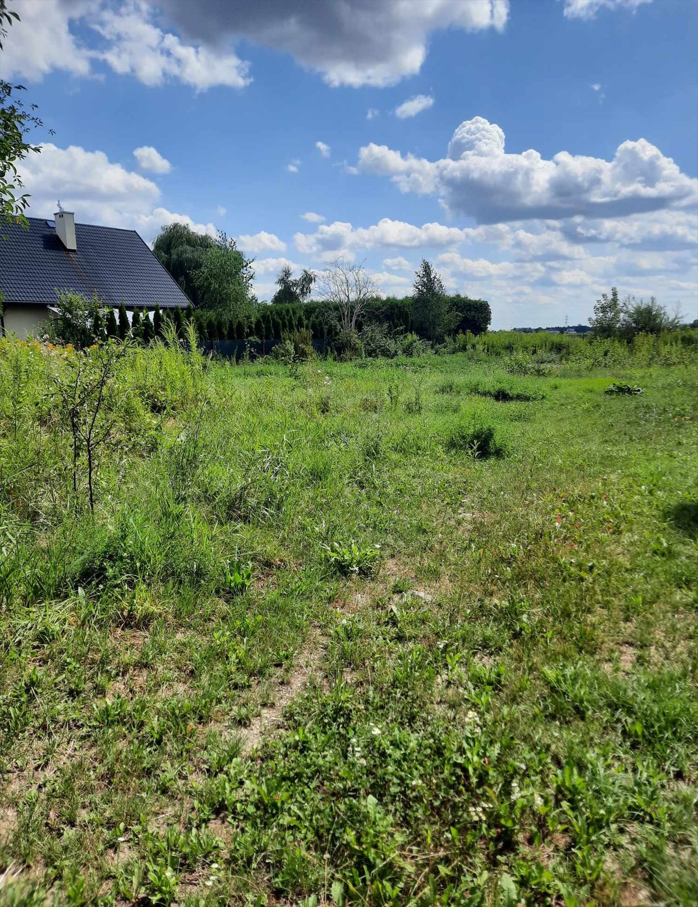 Działka budowlana na sprzedaż Wierzbin, Królowej Marysieńki  2 160m2 Foto 3