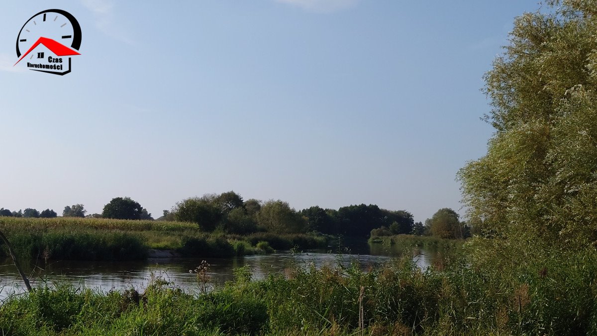 Działka gospodarstwo rolne na sprzedaż Dąbie  5 900m2 Foto 6