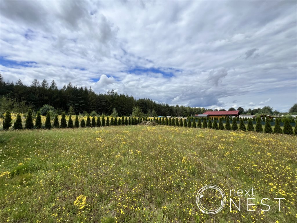 Działka ROD 477 m² z nasadzeniami i opcją domku letniskowego Osuchów, Spokojna  477m2 Foto 1