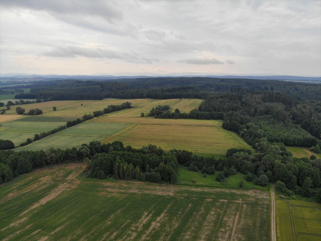 Działka rolna na sprzedaż Kotliska  19 600m2 Foto 11