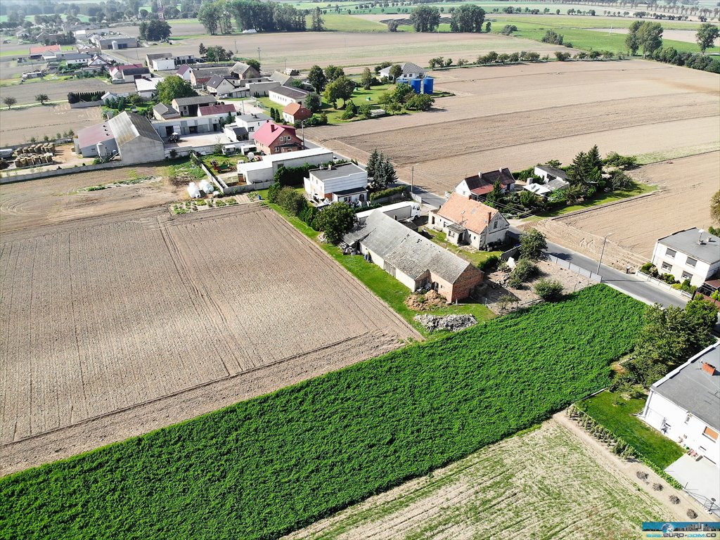 Działka rolna na sprzedaż Maksymilianowo  12 900m2 Foto 8
