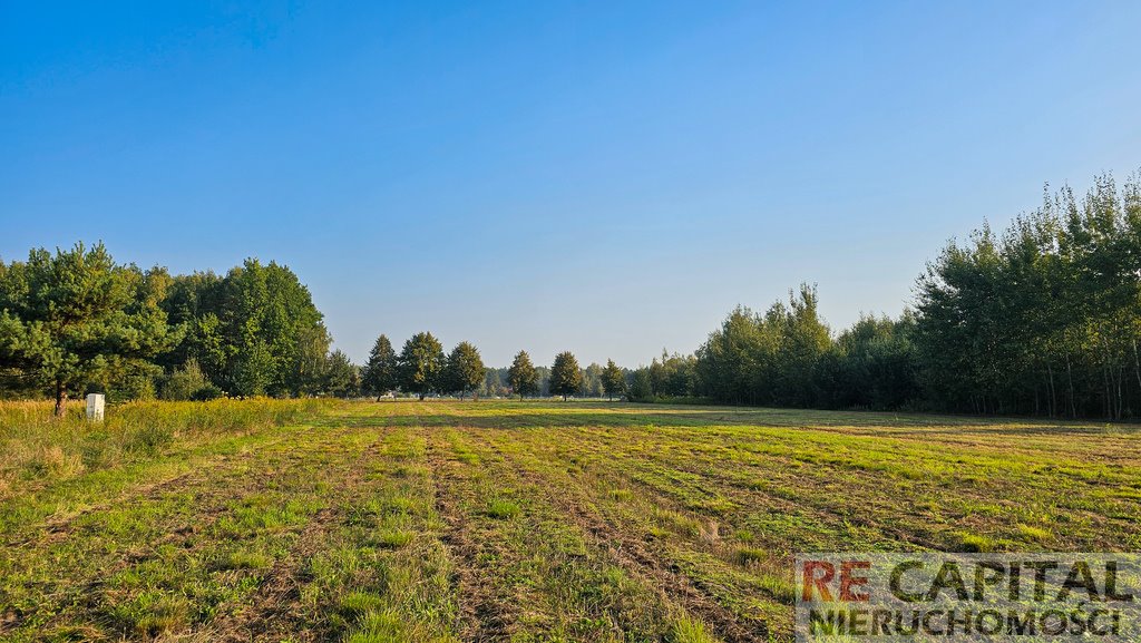 Działka budowlana na sprzedaż Borzęcin Duży  1 500m2 Foto 5