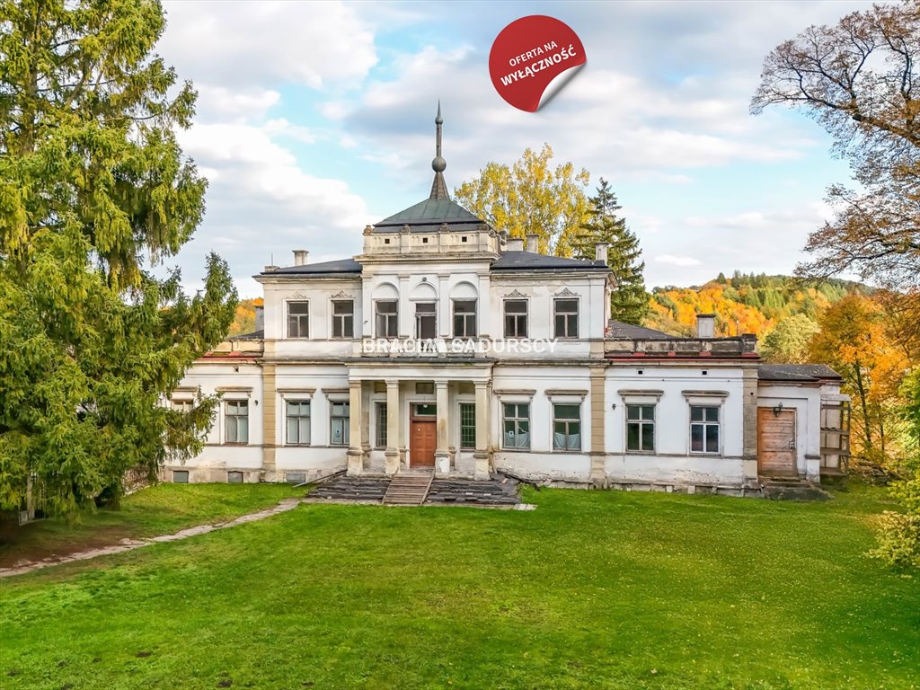 Lokal użytkowy na sprzedaż Działoszyce, Sancygniów  982m2 Foto 1