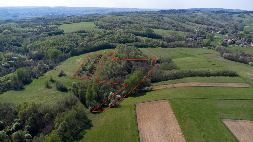 Działka 2,05 ha w Laskówce - idealna na rekreację i odpoczynek Laskówka  20 500m2 Foto 1
