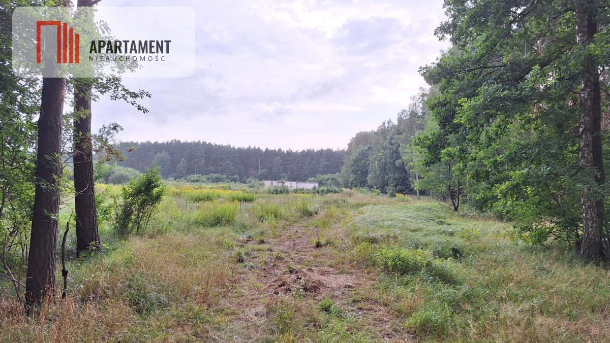 Działka gospodarstwo rolne na sprzedaż Białe Błota  3 014m2 Foto 7