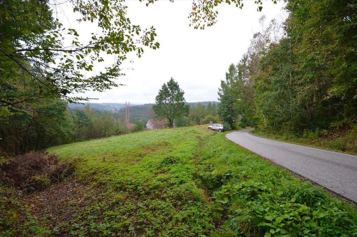 Działka budowlana na sprzedaż Nowy Wiśnicz  12 337m2 Foto 1